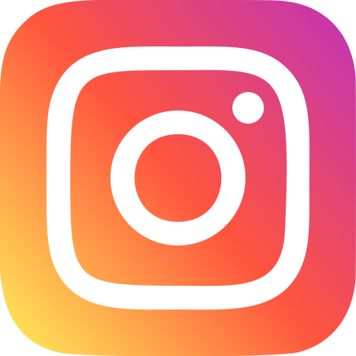 Icône Instagram